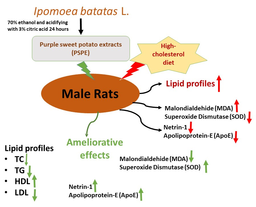 Graphical Abstract